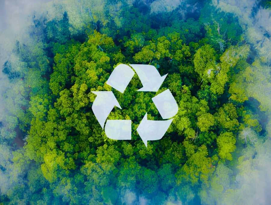 Daoben Green Universe